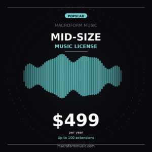 Mid-Size Business Music License